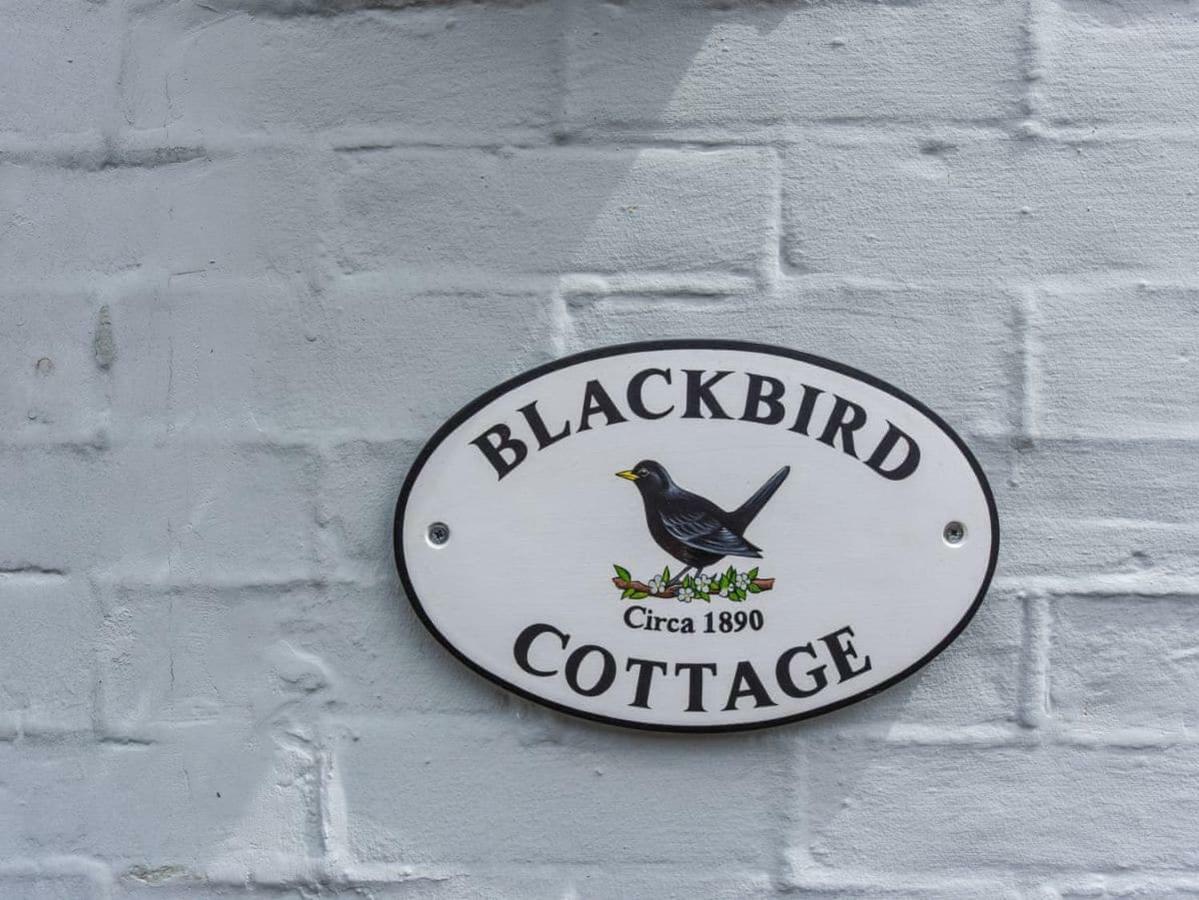 Blackbird Cottage Winchester Exterior photo